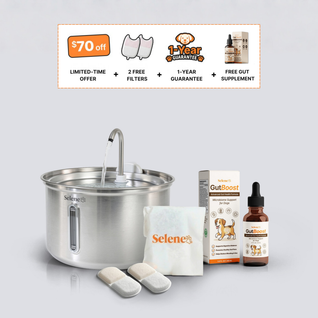 The Gut Health Bundle