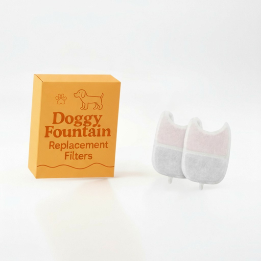 2 Extra Fountain Filters