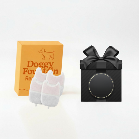 Holiday Sale: 4 Filters + Mystery Gift