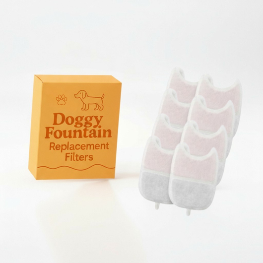 10 Filter Pack - 8 Months