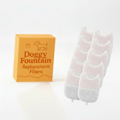 10 Filter Pack - 8 Months