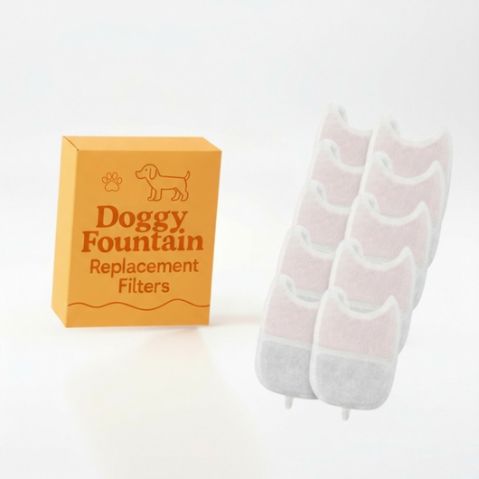 10 Filter Pack - 8 Months