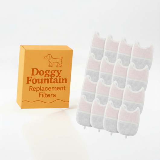 16 Filter Pack - 15 Months