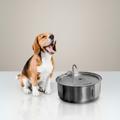 The Doggy Fountain™