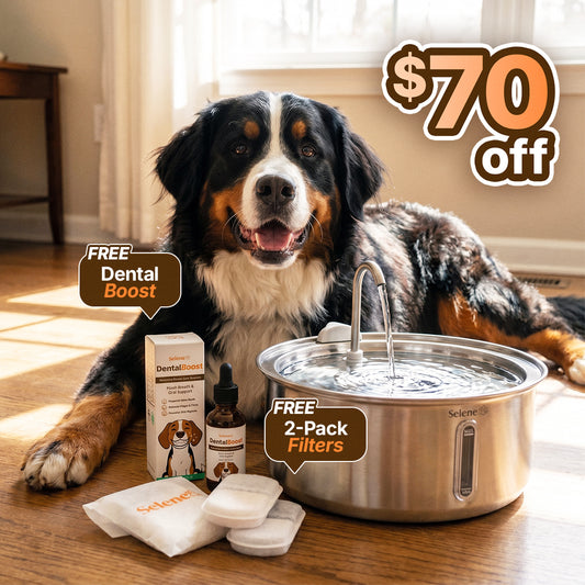 The Doggy Fountain™