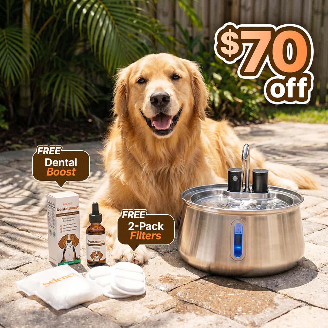 The Doggy Fountain™