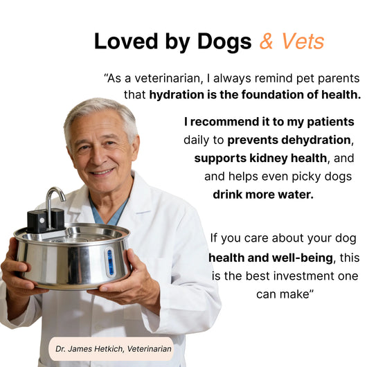 4l capacity non-wireless