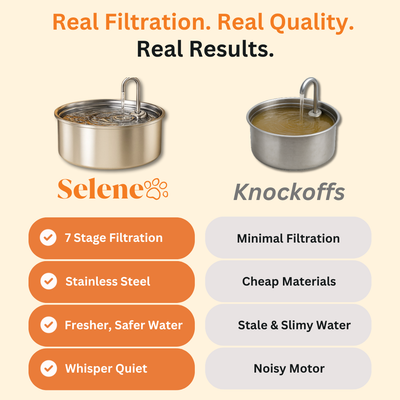 The Doggy Fountain™ UGC