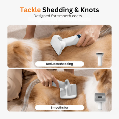 Doggy 7-in-1 Vacuum Kit