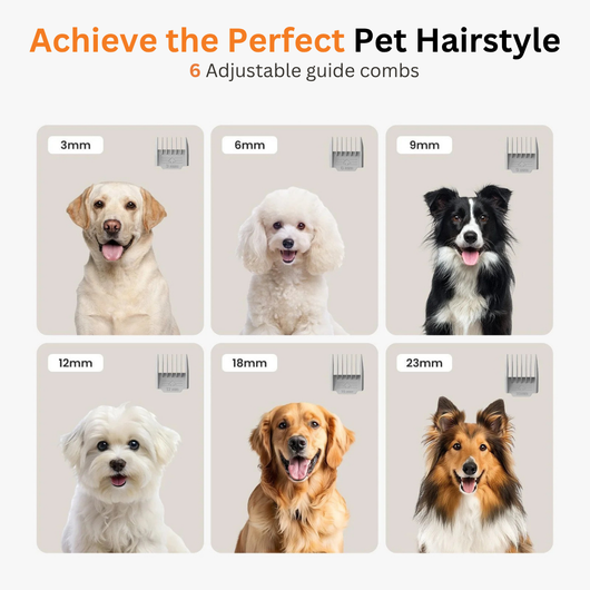 Doggy 7-in-1 Vacuum Kit