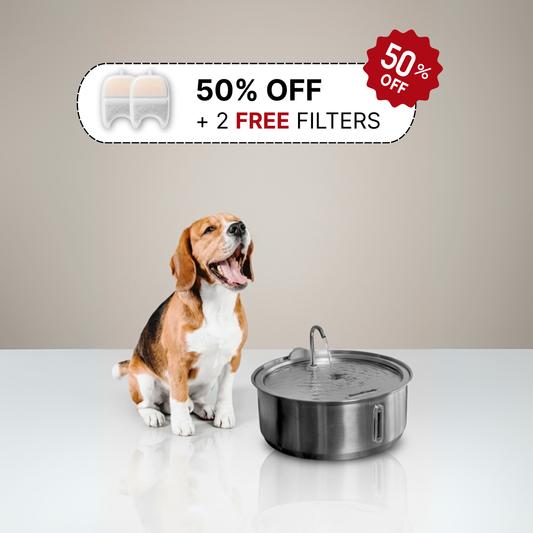 The Doggy Fountain™ (Copy) 2