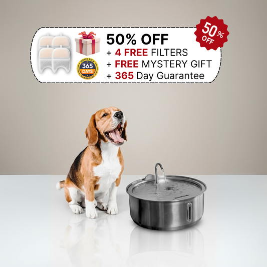 The Doggy Fountain ™