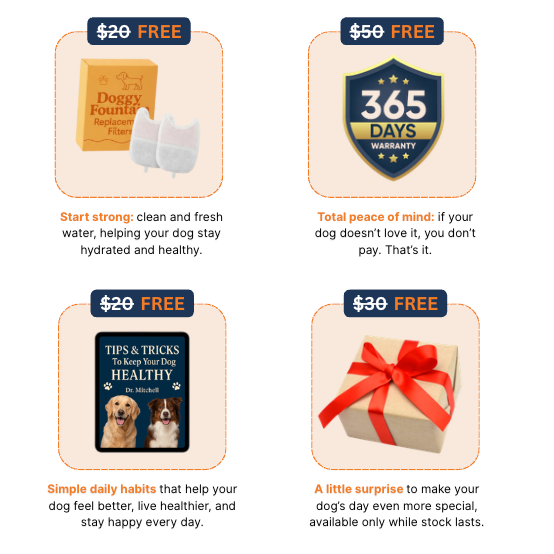 The Doggy Fountain™