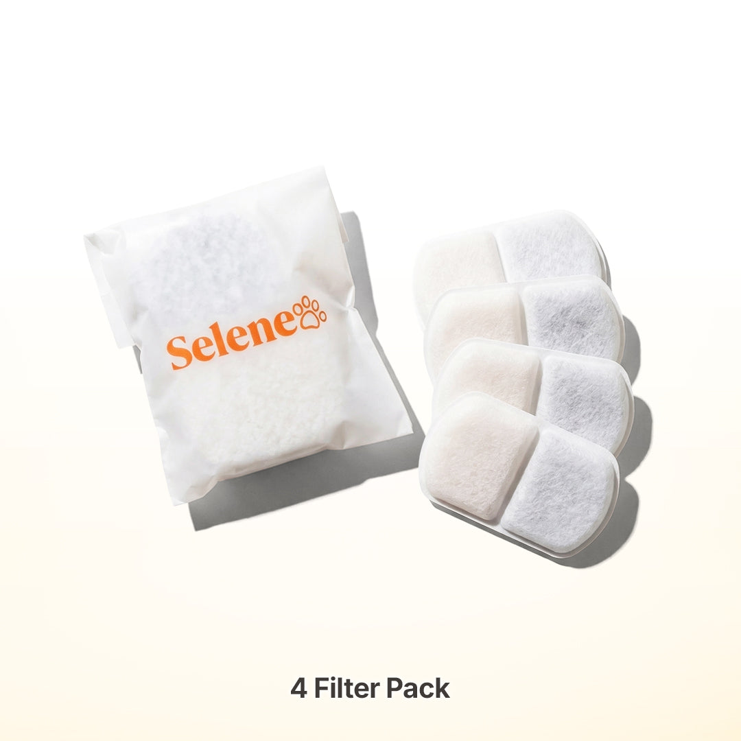 2-Month Supply • 4 Filters
