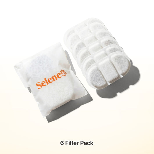 Plug-In Fountain Filters