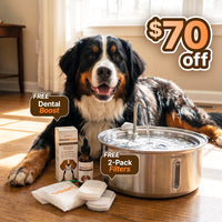 The Doggy Fountain™ Health Bundle