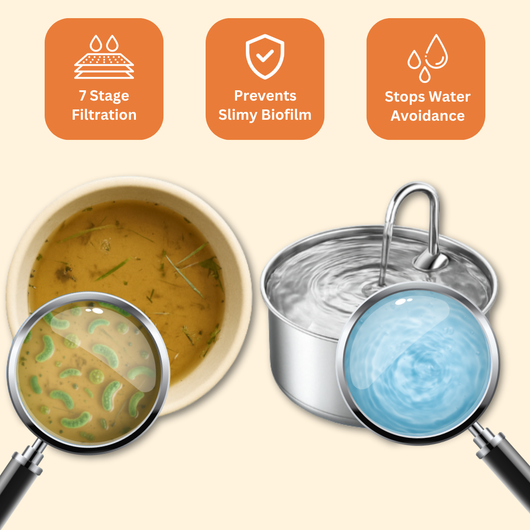 The Doggy Fountain™ UGC