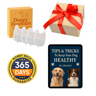 Holiday Sale: 4 FREE Gifts