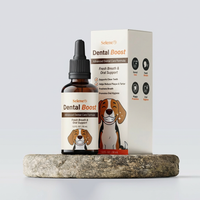 DentalBoost + 2 Plug-In Replacement filters